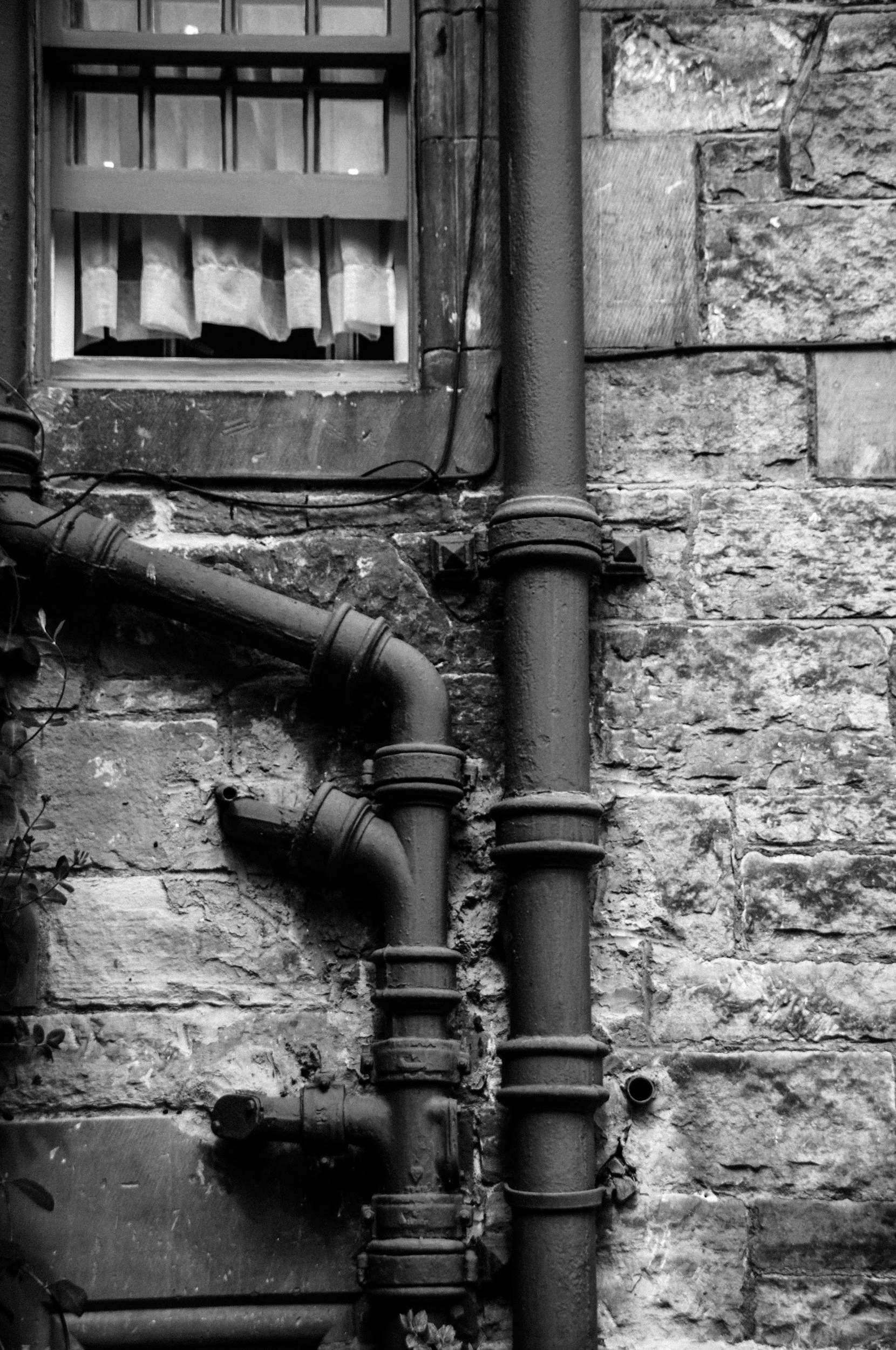 Exploring Common Sewer Drain Pipe Issues and How to Fix Them