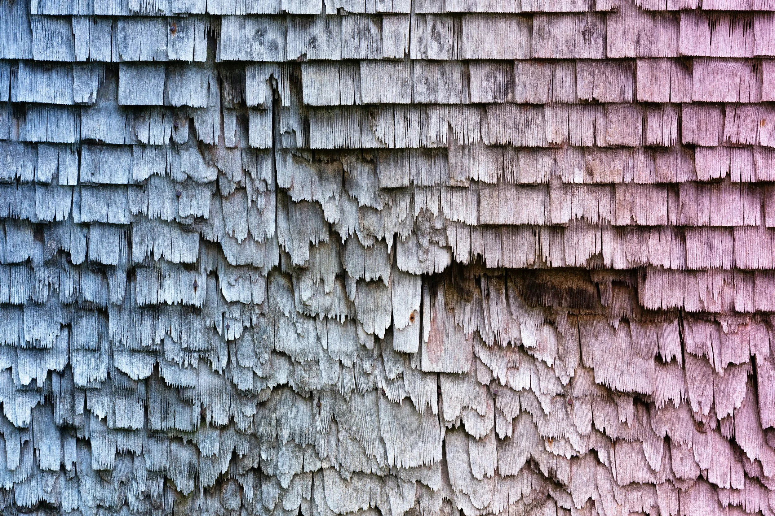 7 Critical Signs You Need Roof Repairs