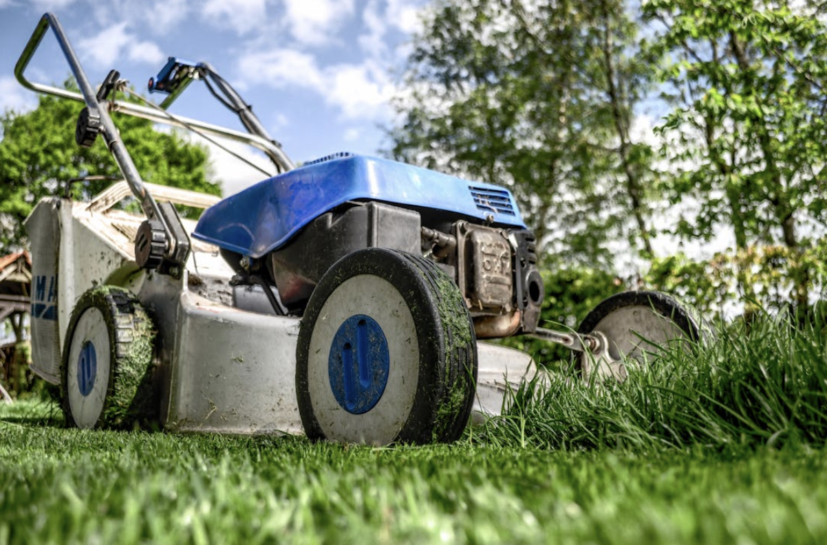 The Importance of Regularly Weeding Your Lawn