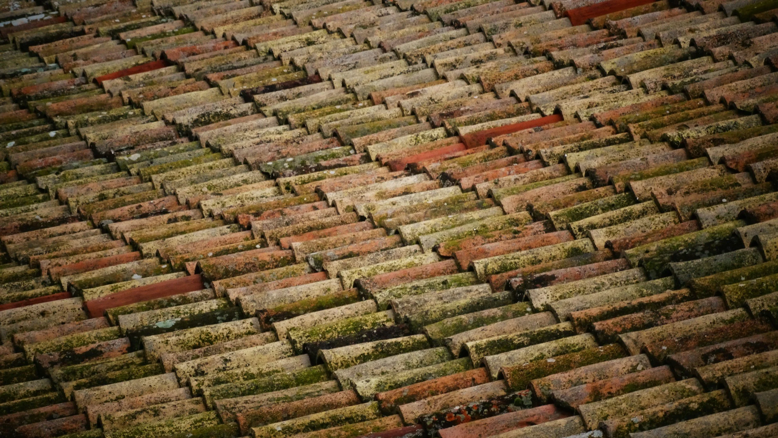 Roofing Trends for 2024: Insights from Roofing Contractors