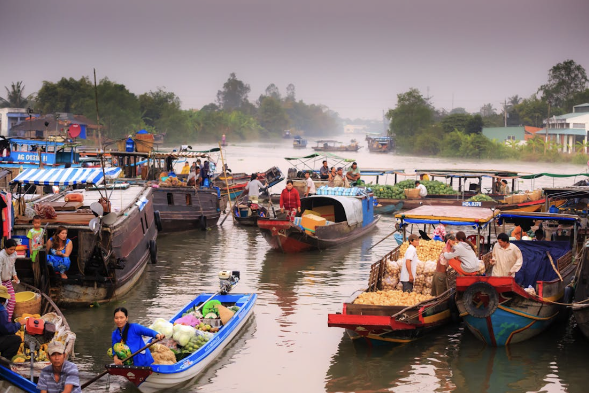 Unveiling the Beauty and Diversity of Vietnam