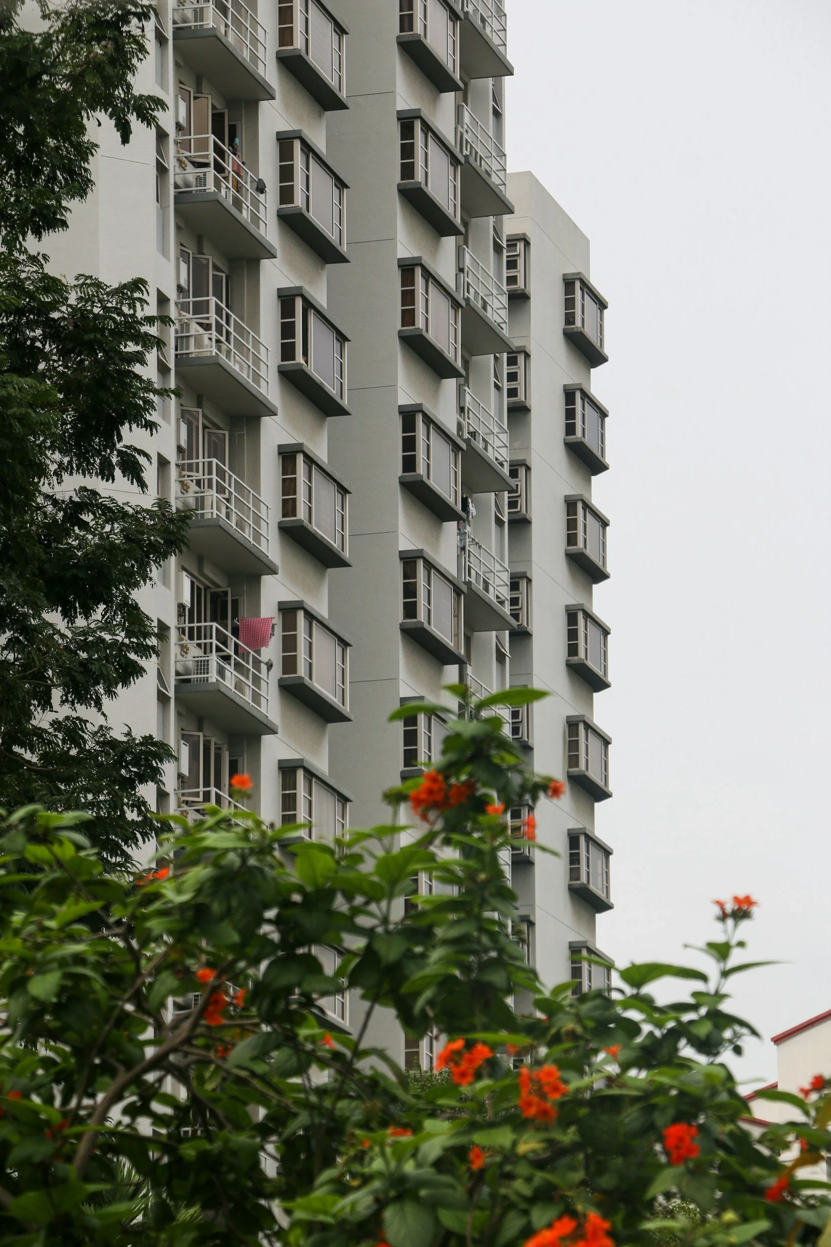 The Benefits Of Hiring Property Management Cape Coral For Luxurious Rentals