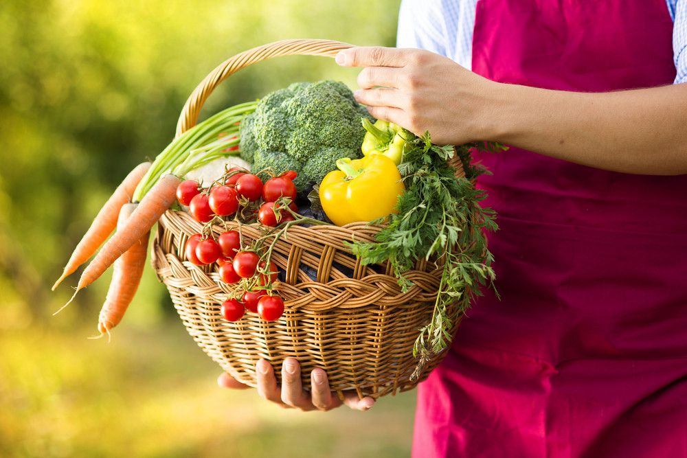 3 Reasons to Start Your Own Backyard Vegetable Garden