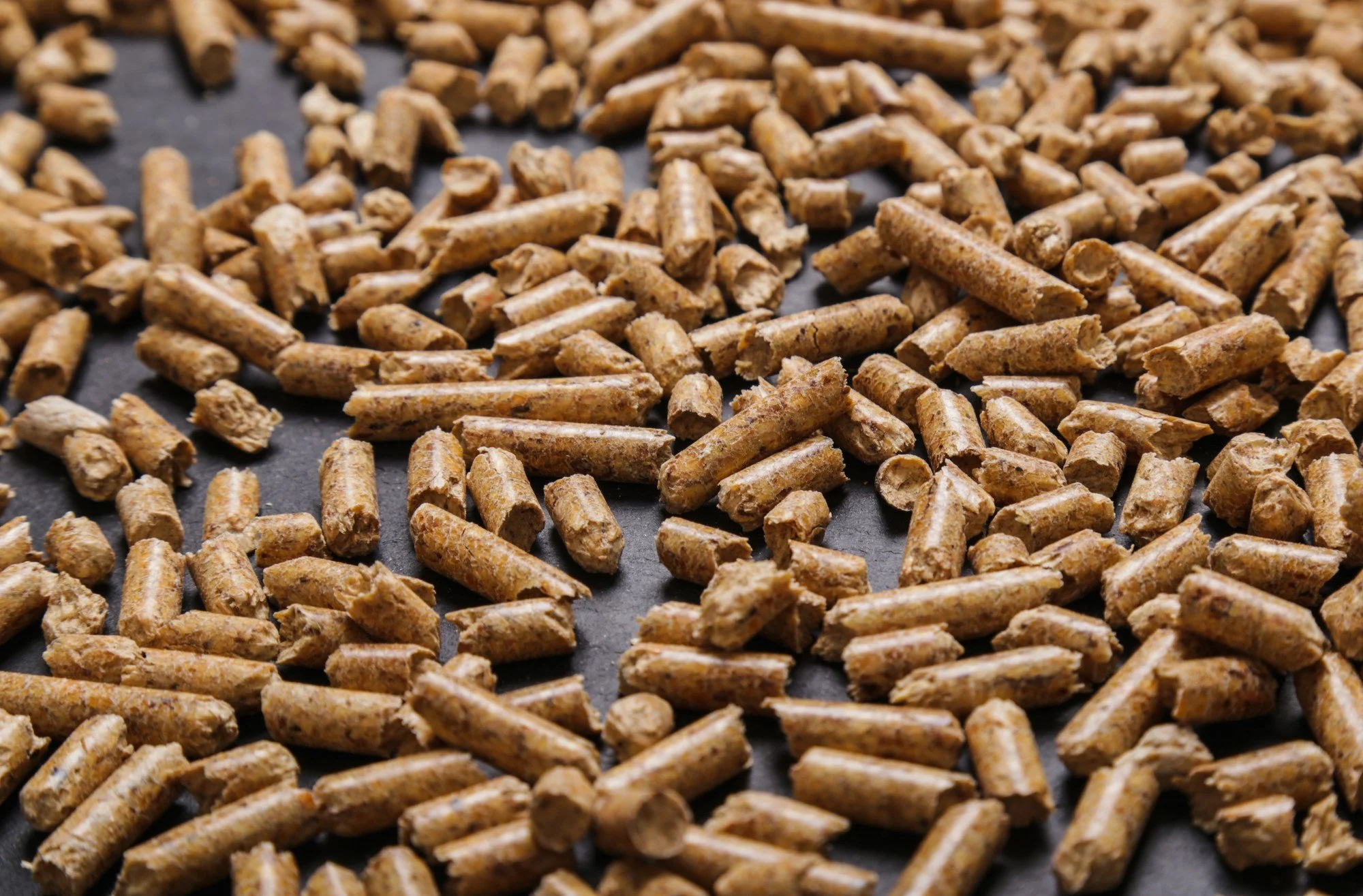 Carp Pellets: The ultimate bait for successful fishing