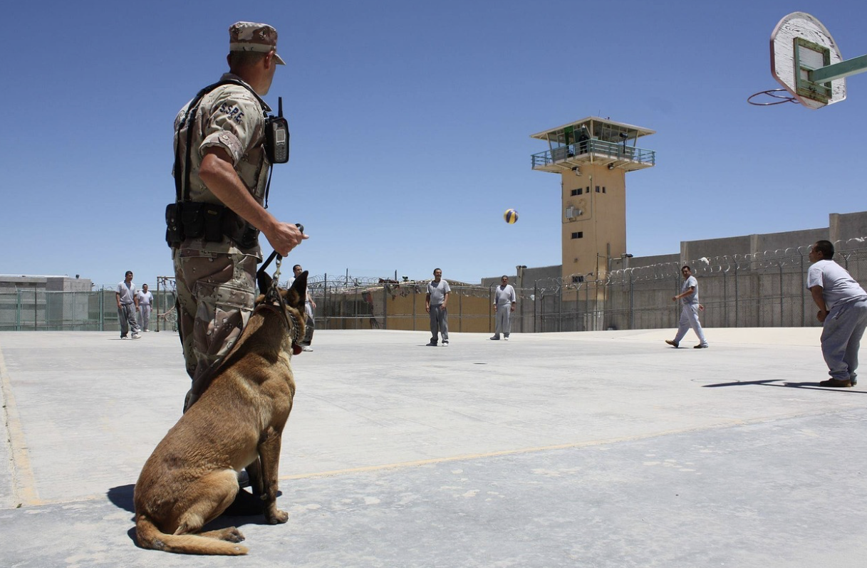 Finding an Inmate: 6 Crucial Facts You Need to Understand