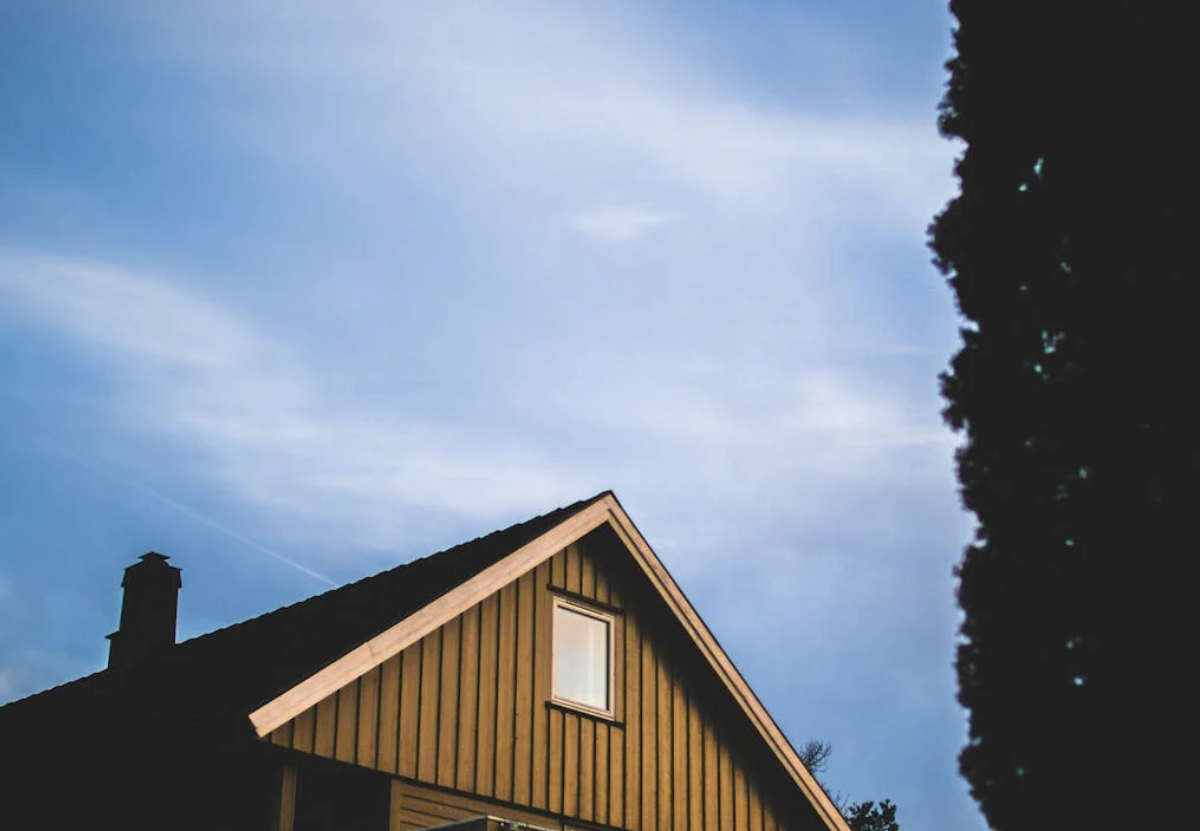 Beyond the Basics: Exploring the Critical Role of Roofing in Home Protection