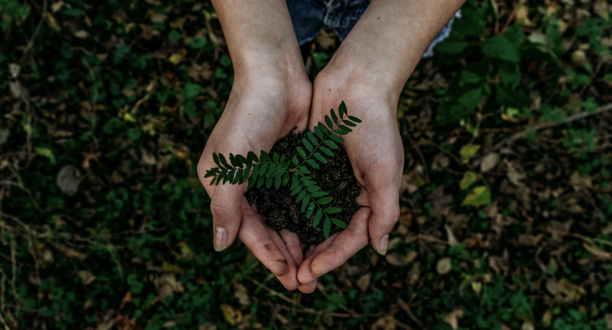 Sustainability in Home Life and Disputes Between Couples&nbsp; 