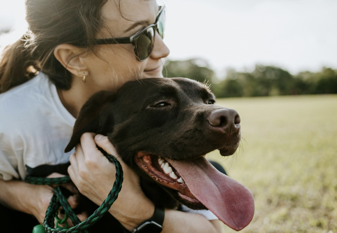 3 Pet Tips for First-Time Owners