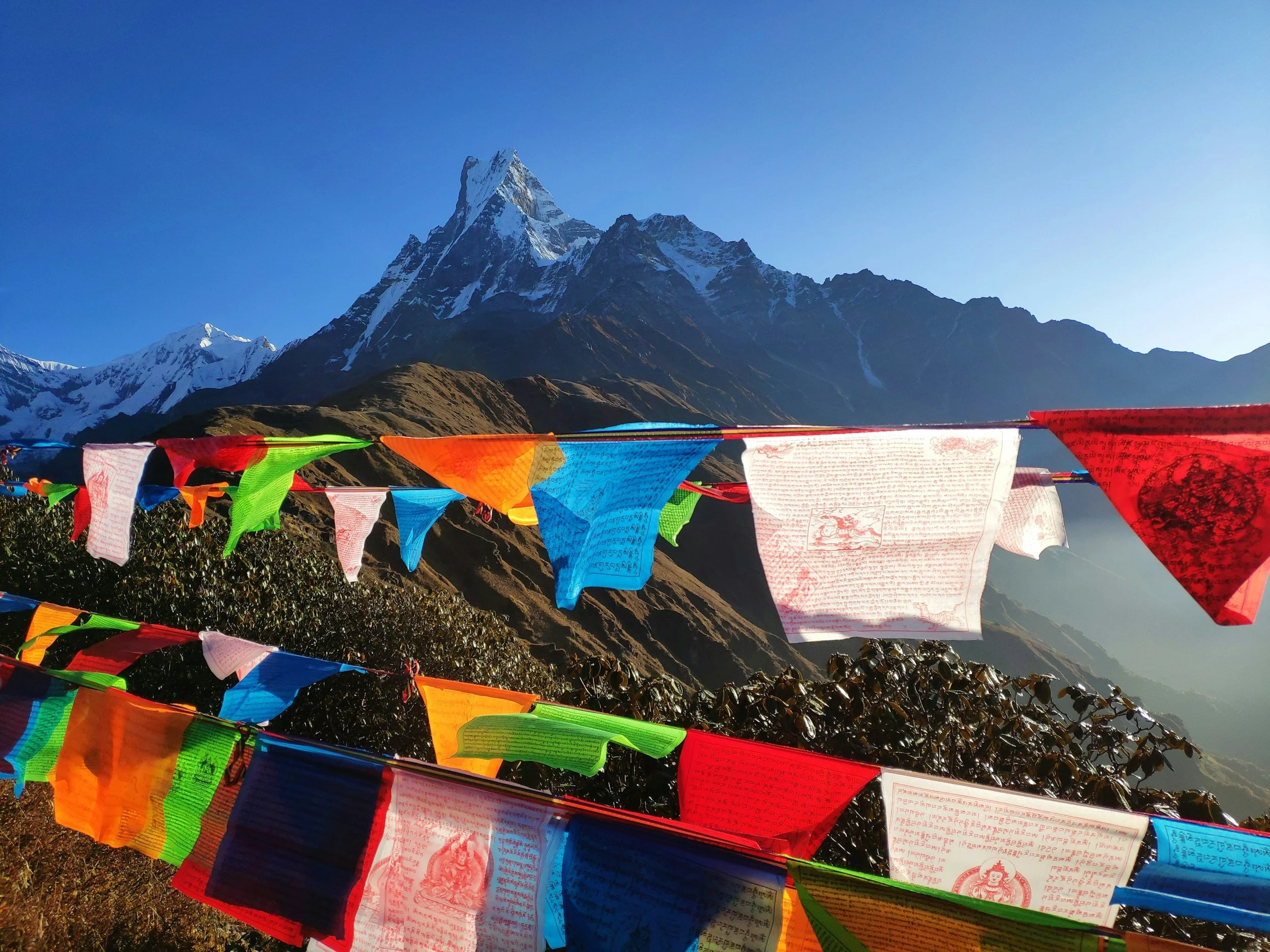 5 Popular Base Camp treks in Nepal You should Go