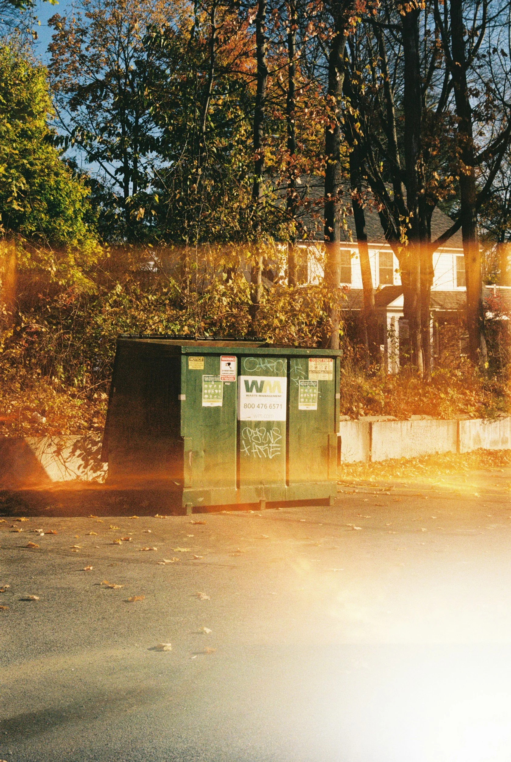 How to Choose the Right Dumpster Rental for Your Project Needs