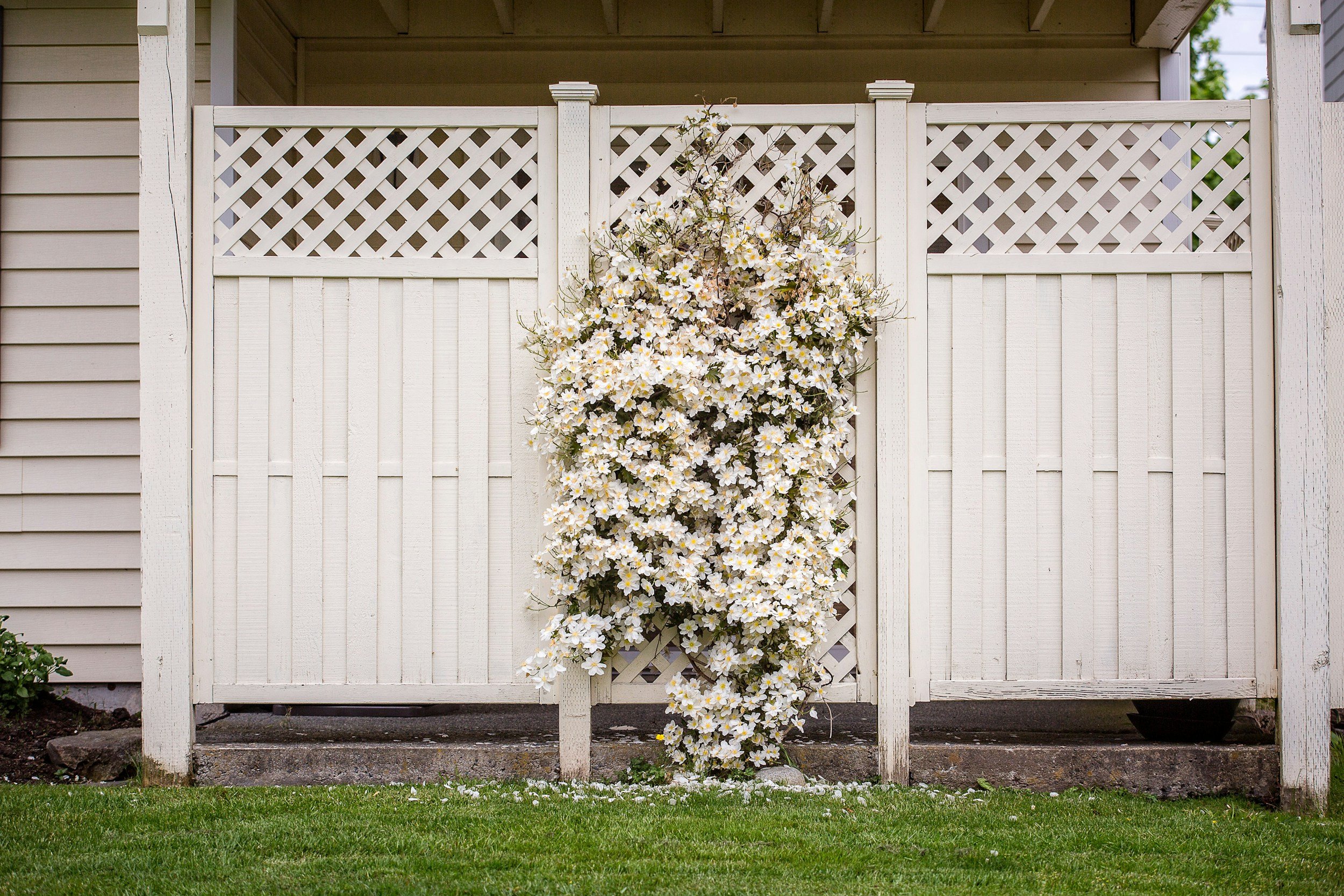 Common Fence Problems and How to Fix Them