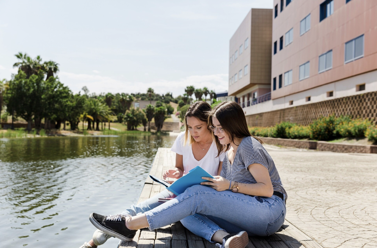 Top-Rated Local Universities in Singapore: Programs, Admissions, and Campus Life Information