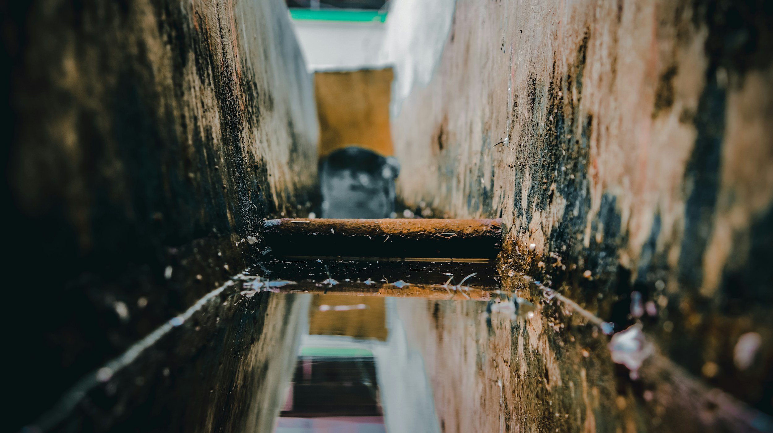 The Importance of Septic Tank Cleaning for Proper Waste Management