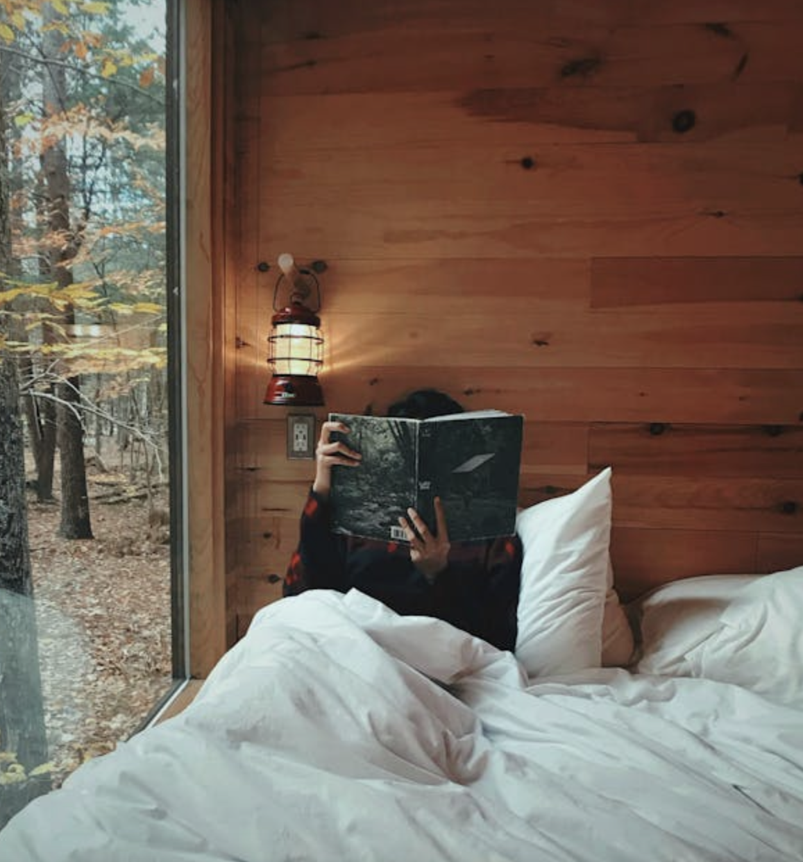 The Connoisseur's Approach to Ordering a Luxury Down Comforter