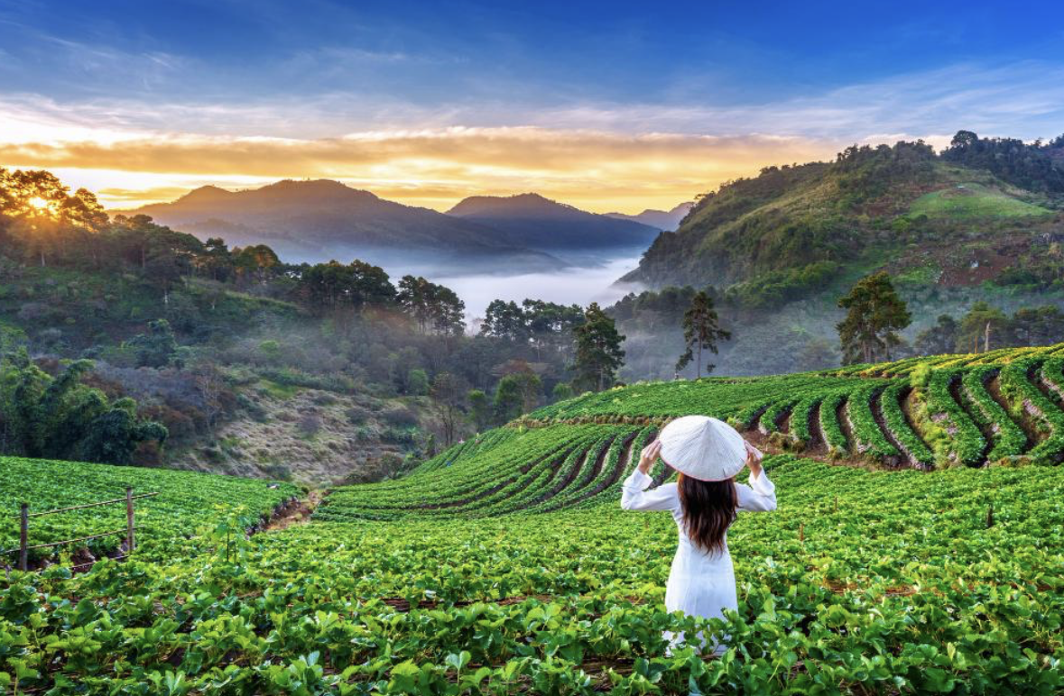 Top 5 Best Islands for Vacation in Asia