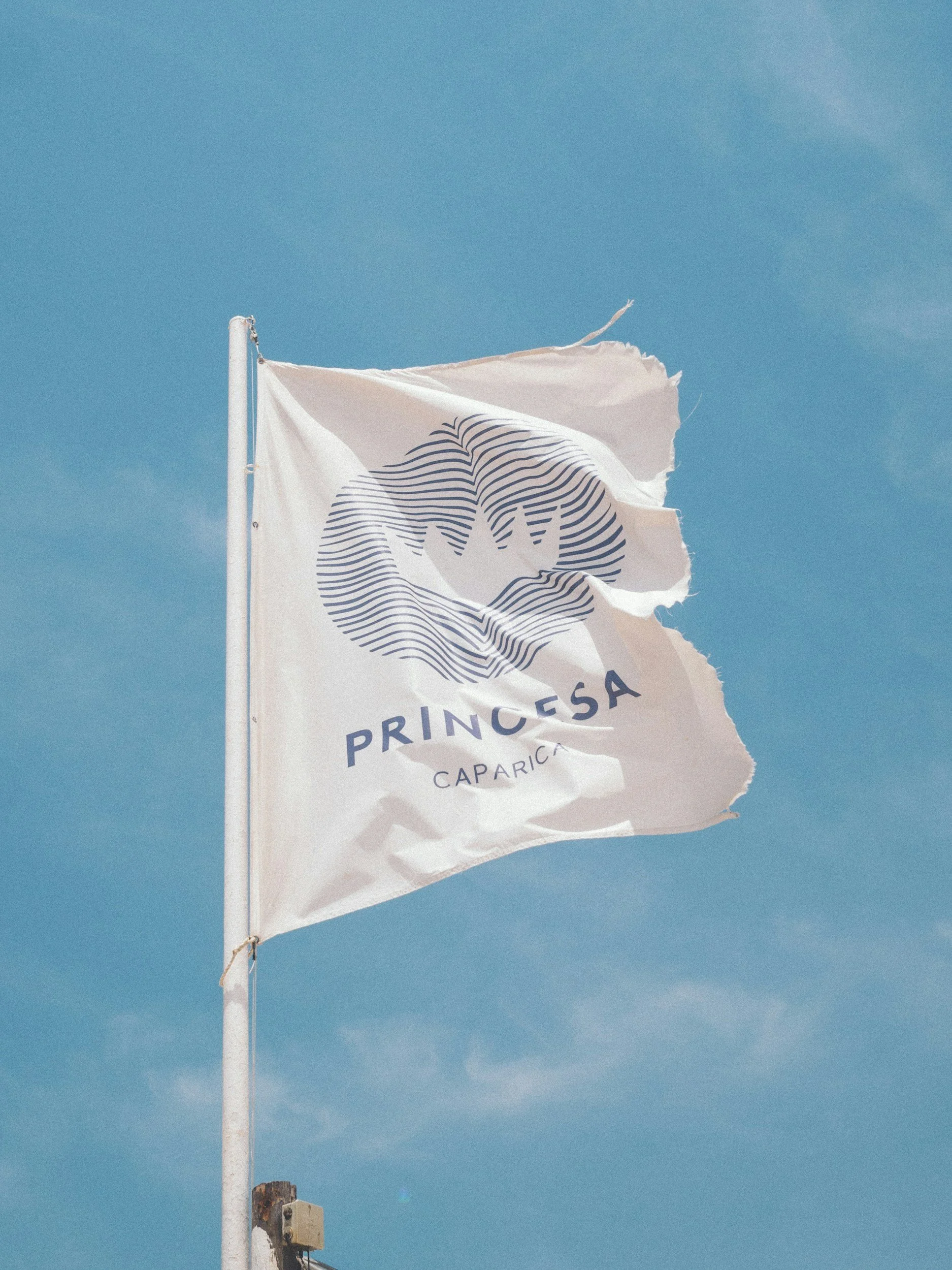 Effective Flag Printing Strategies for Business Visibility