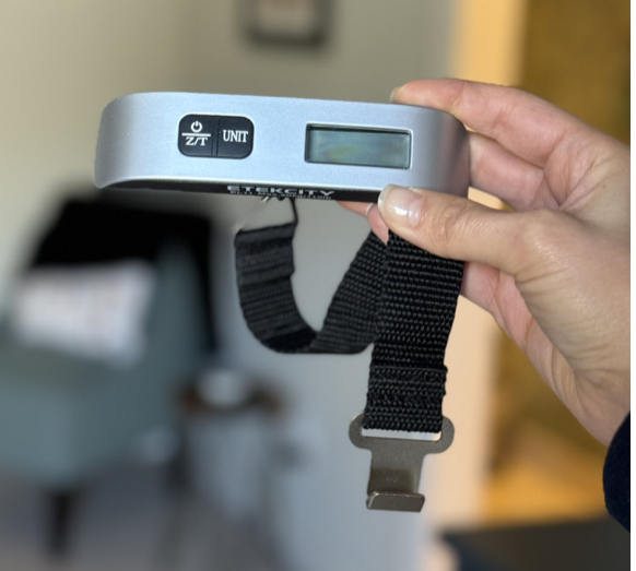 A selection of travel tech essentials to pack in 2025