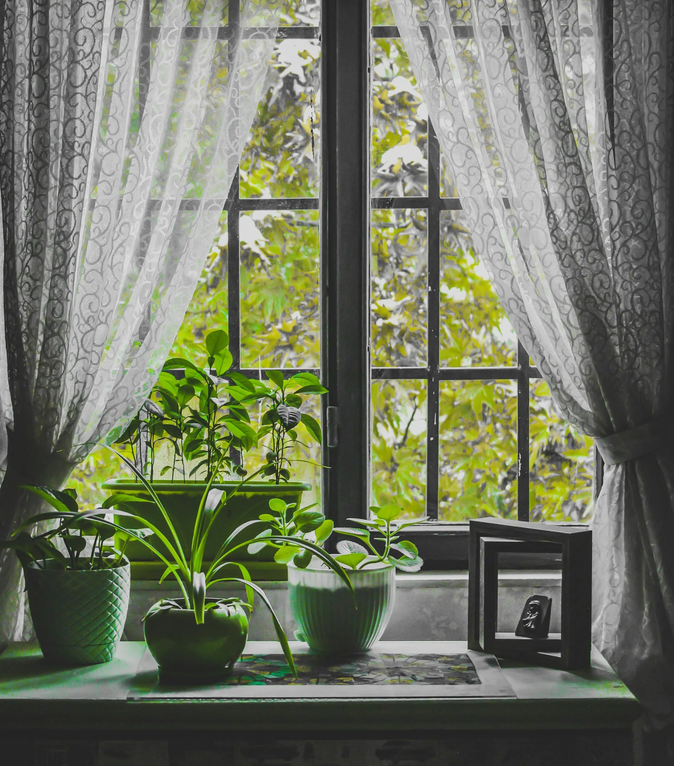 Elegant Window Elegance: The Beauty of Roman Blinds