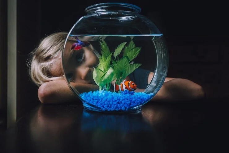 The Mystery of Goldfish Slumber: Do Goldfish Sleep or Keep Swimming?