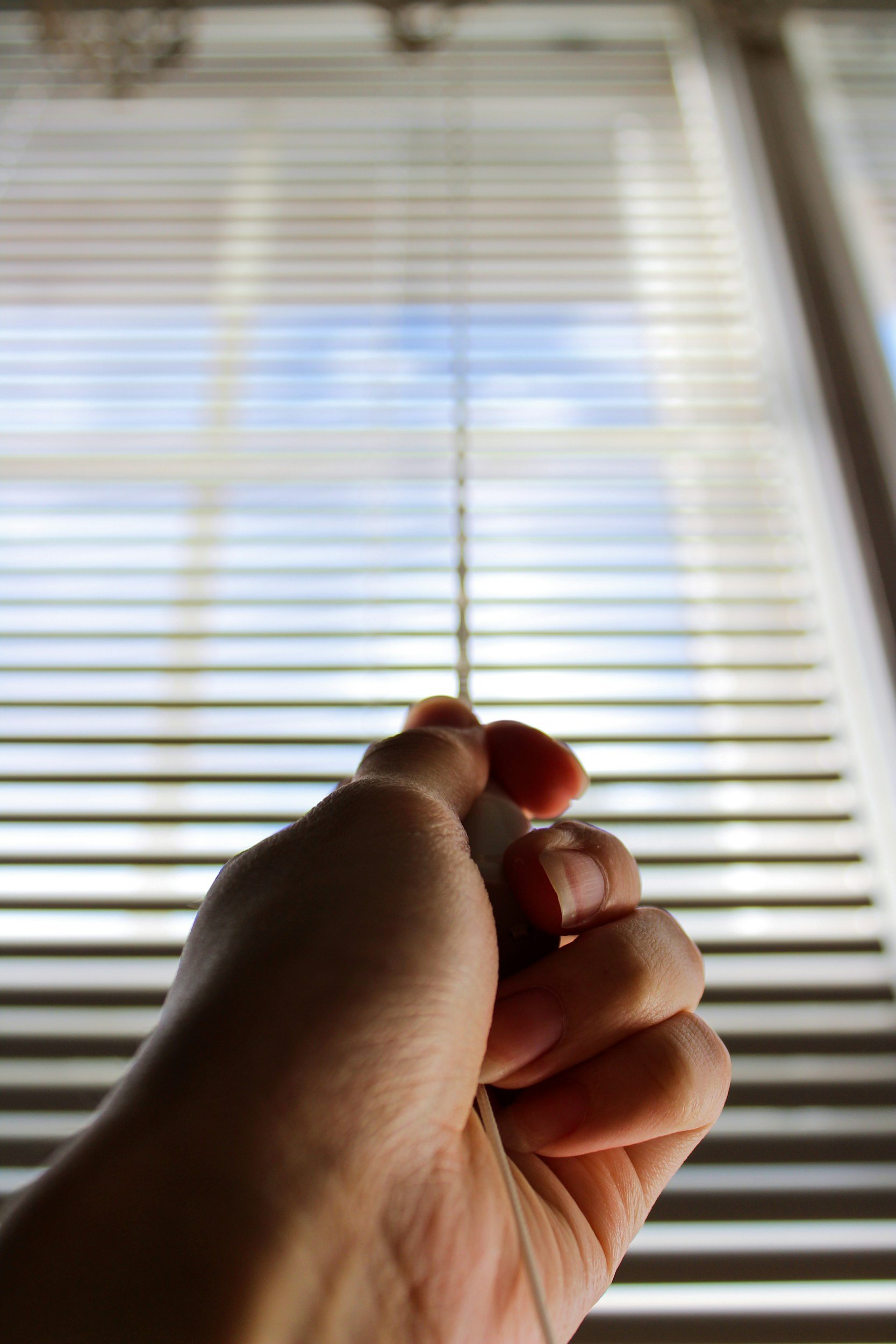 Plantation Shutters vs. Traditional Blinds: A Style and Functionality Showdown