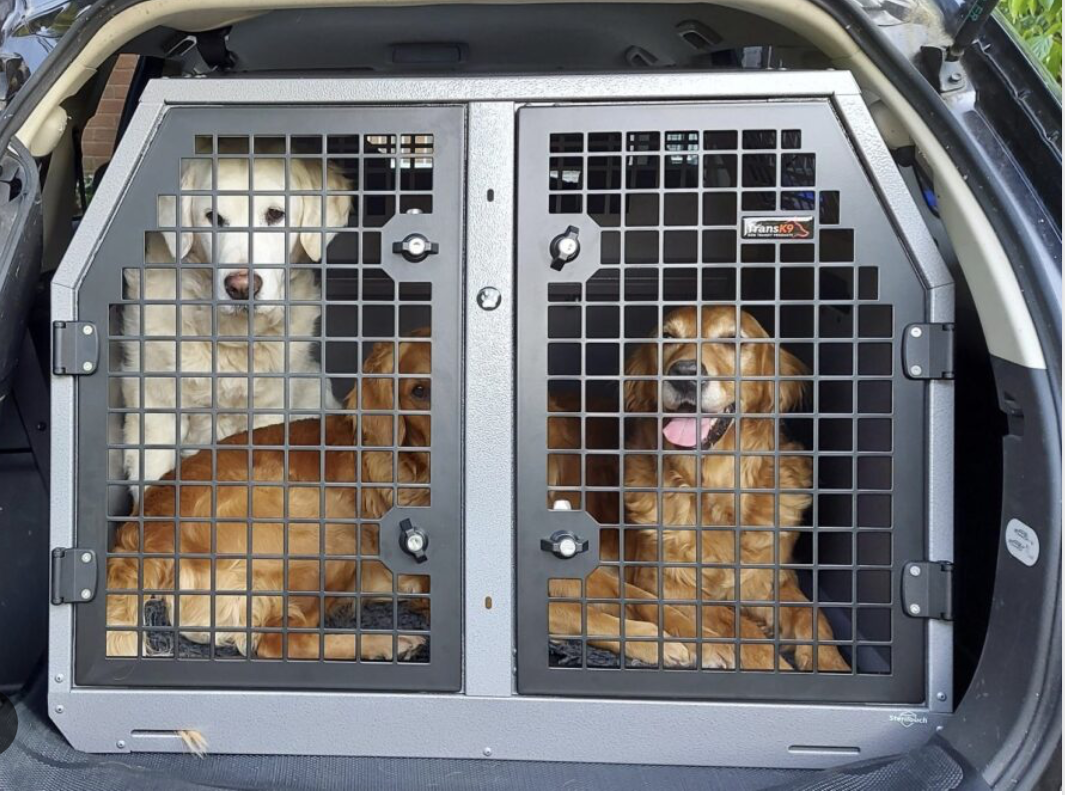 Why You Need a Dog Crate in Your Vehicle: Safety, Comfort, and Convenience on the Road