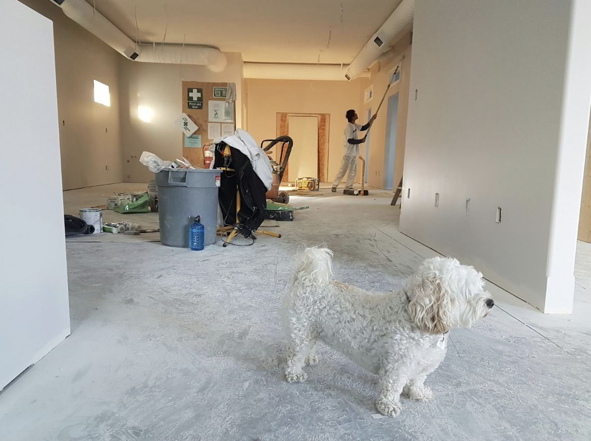 Popular Home Improvements That Add Lasting Value