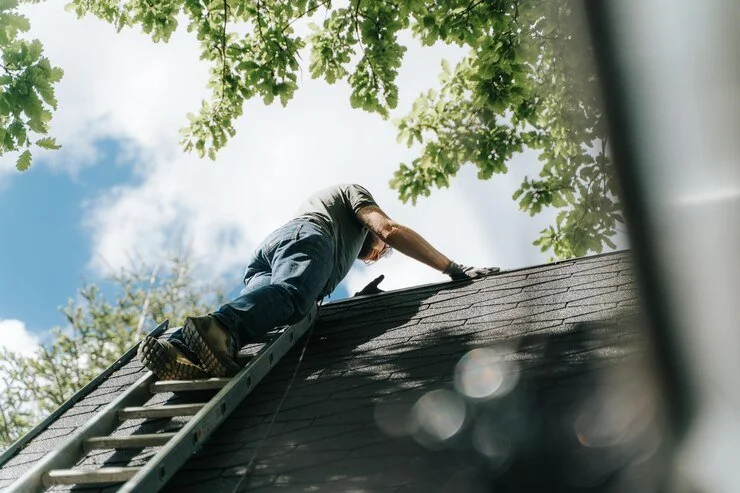 A Seasonal Guide to Roof Maintenance for Homeowners