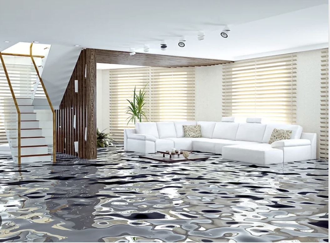 Understanding Basement Flooding: Common Causes, Risks, and What to Do First