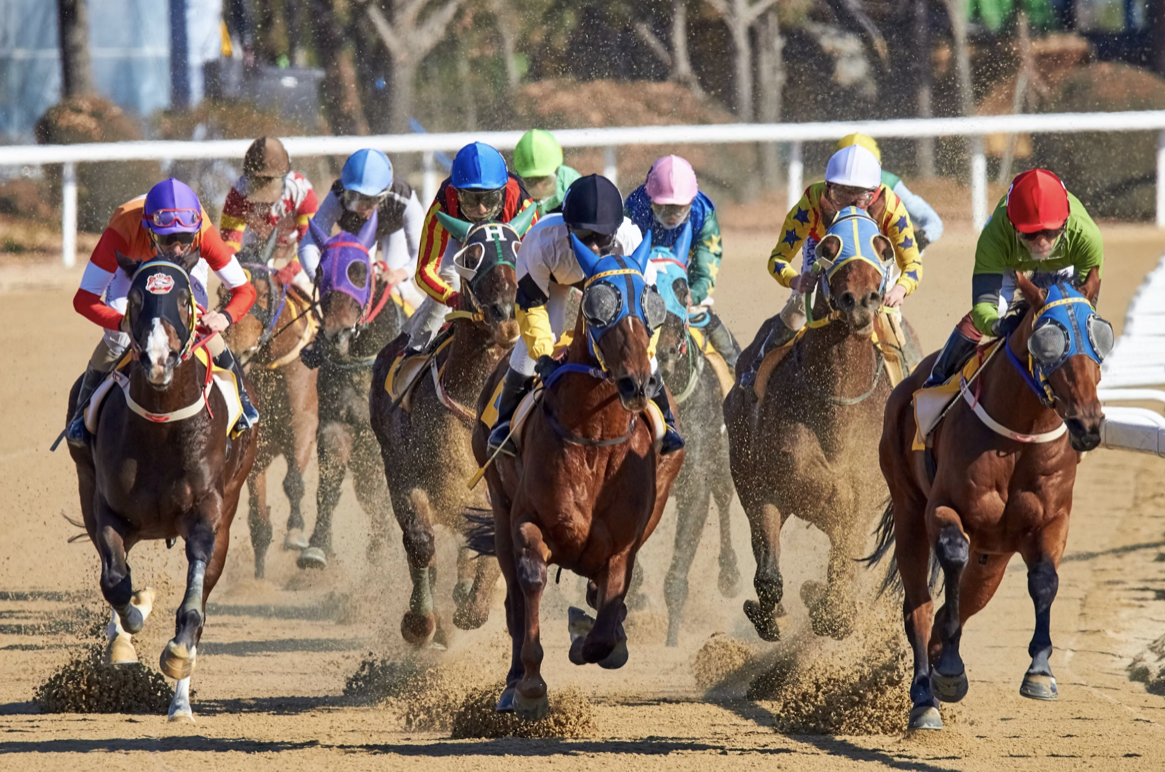 Mark Your Calendars: Top Sports Events For June