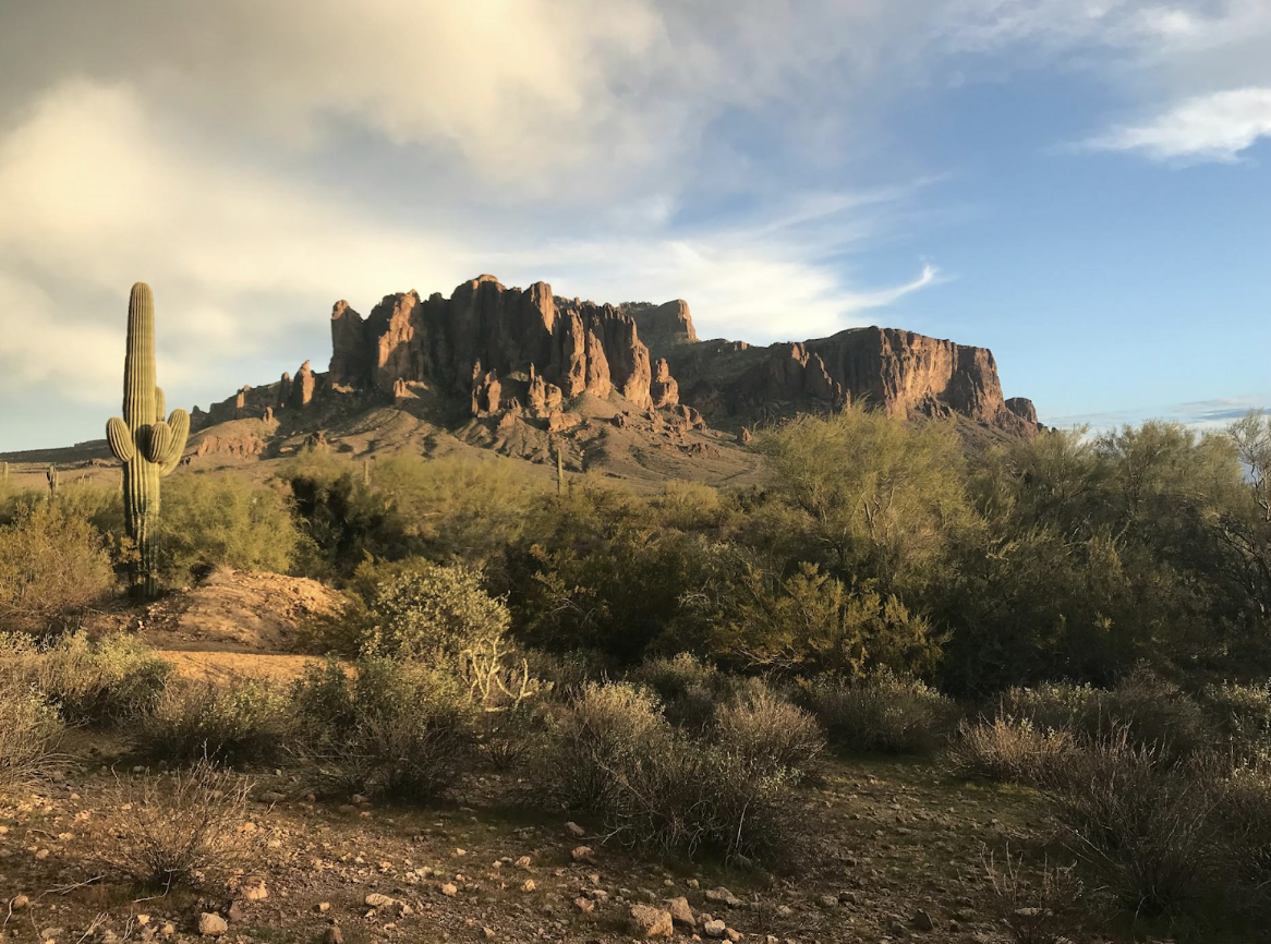 What Are the Top Arizona Behavioral Health Treatment Centers?