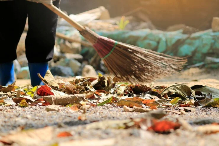 Seasonal Cleaning Strategies: Aligning Your Environment with the Rhythm of the Year