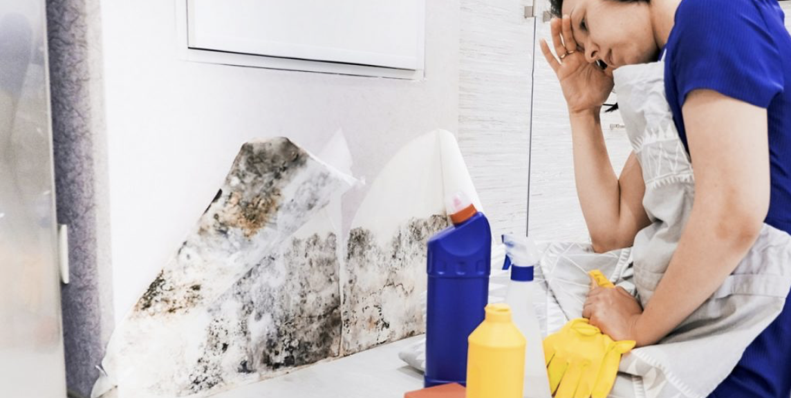 When Mold Strikes: The Complete Journey from Hidden Threat to Healthy Home