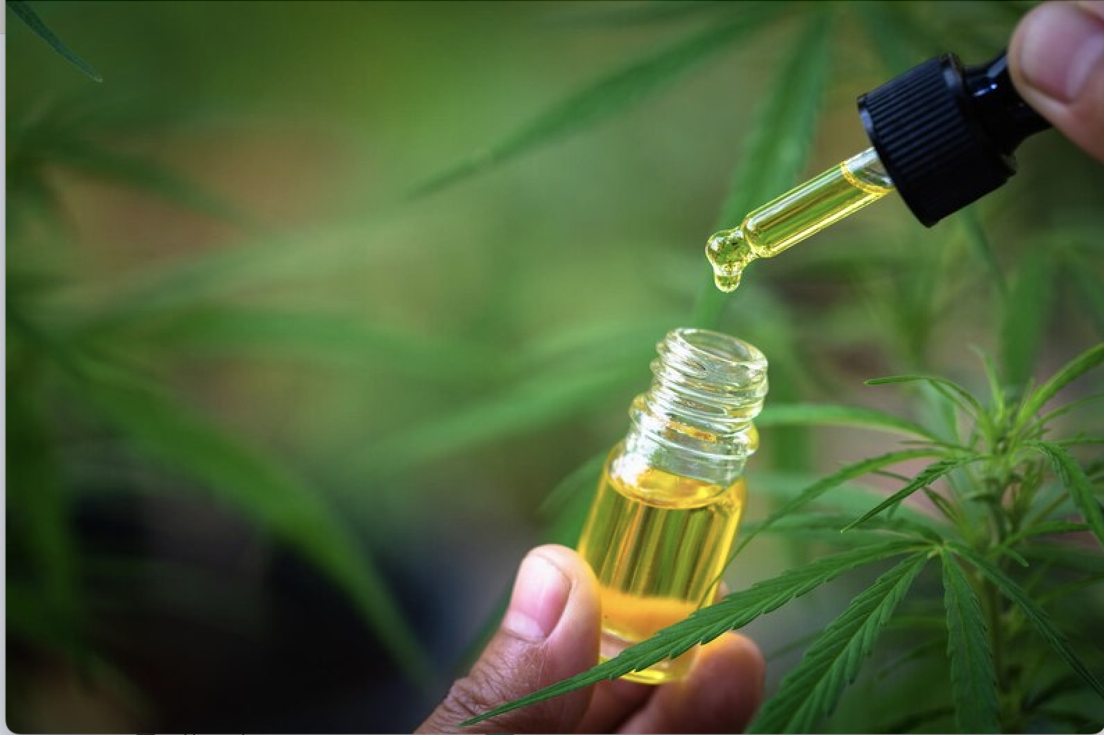 CBD for Migraine: Does It Work?