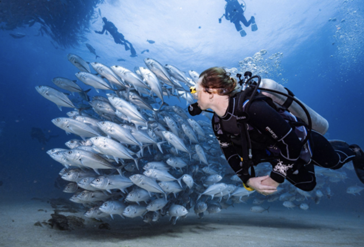 Why Riviera Maya Is the Ultimate Place to Get PADI Certified&nbsp;