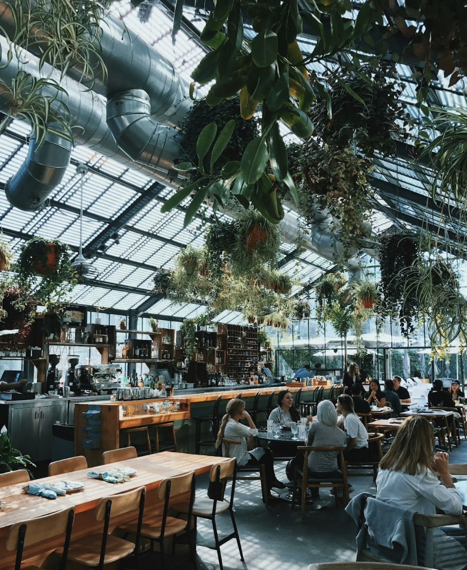 Eating Out in Style: Useful Tips on Choosing the Right Dining Place