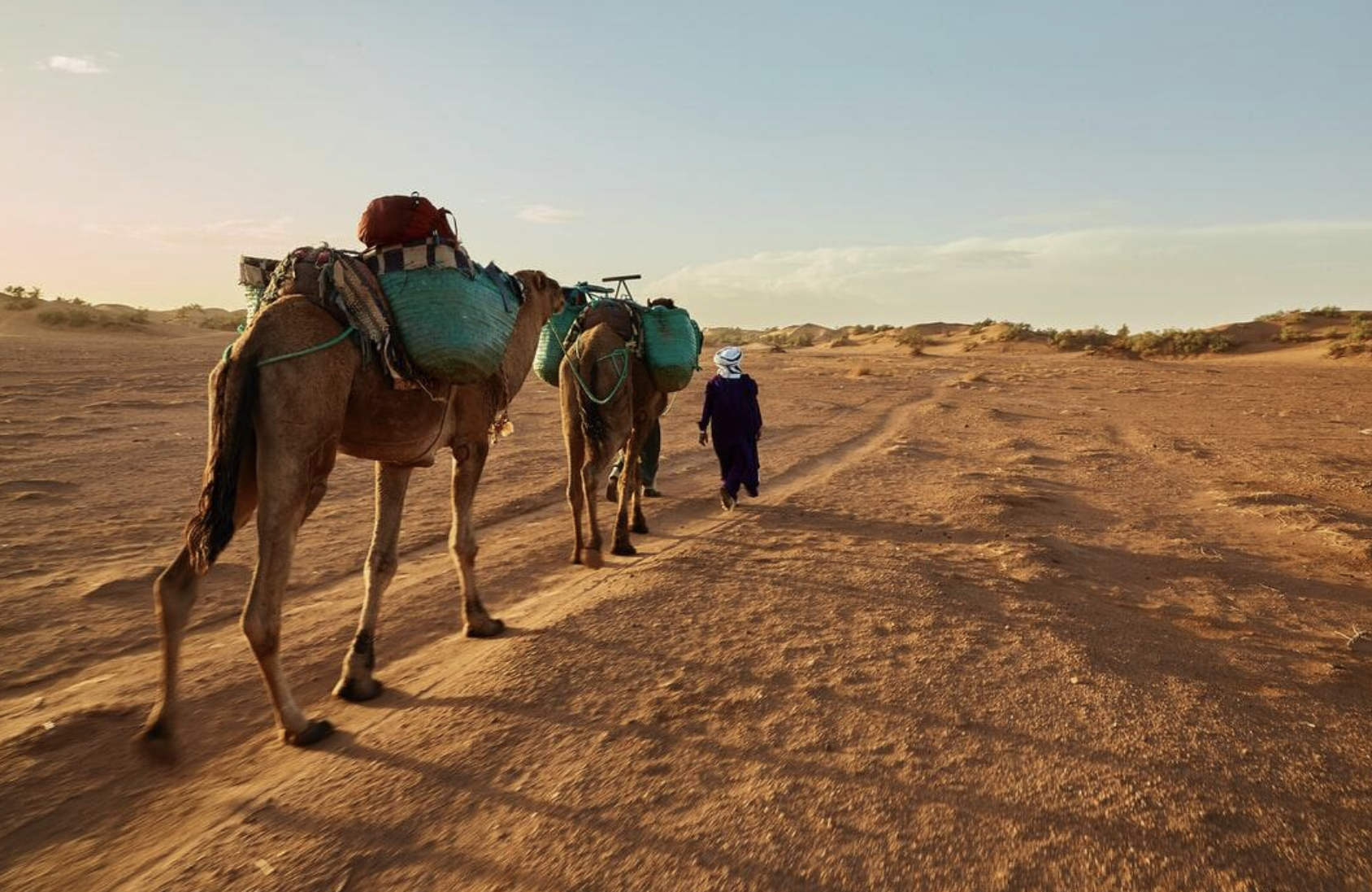 Essential Packing List for a Sahara Desert Adventure