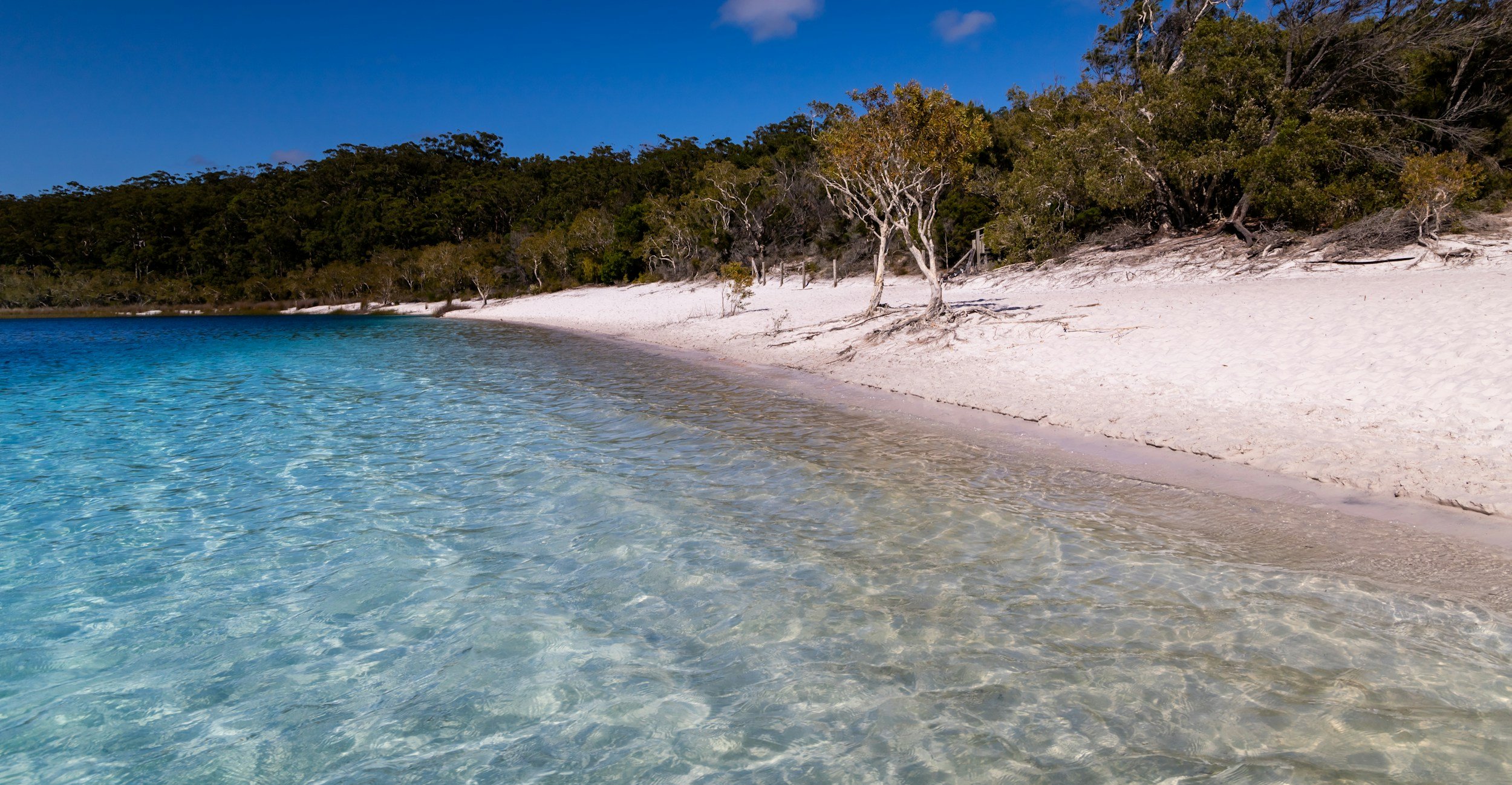 Discover Tranquility: Exploring the Best of Flinders Island Accommodation