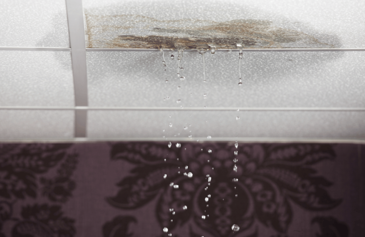 Signs Your Home Has a Hidden Plumbing Leak (And What You Can Do About It)