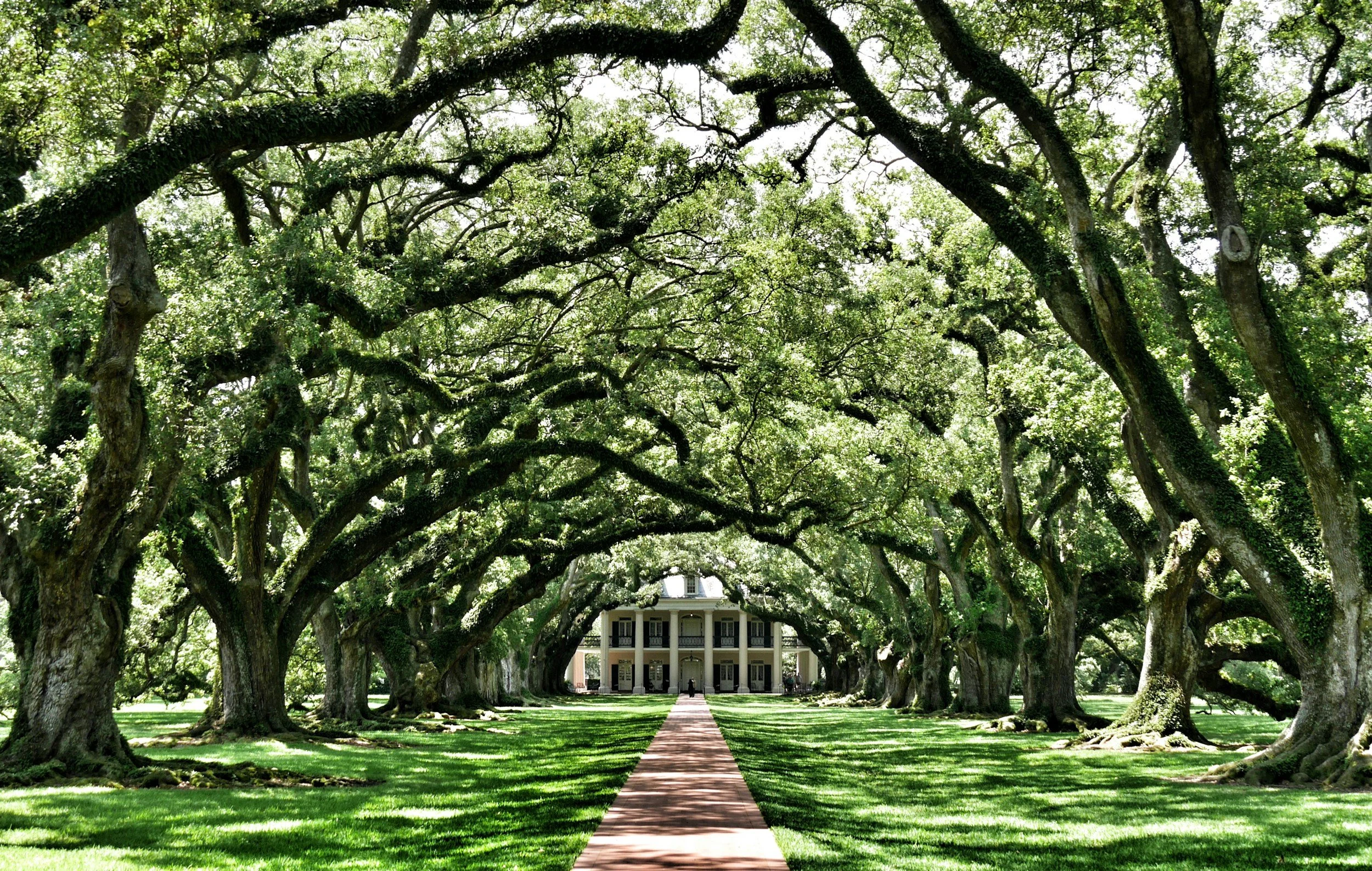 Why St. Charles Avenue is the Best Location for Your Next Group Stay in New Orleans