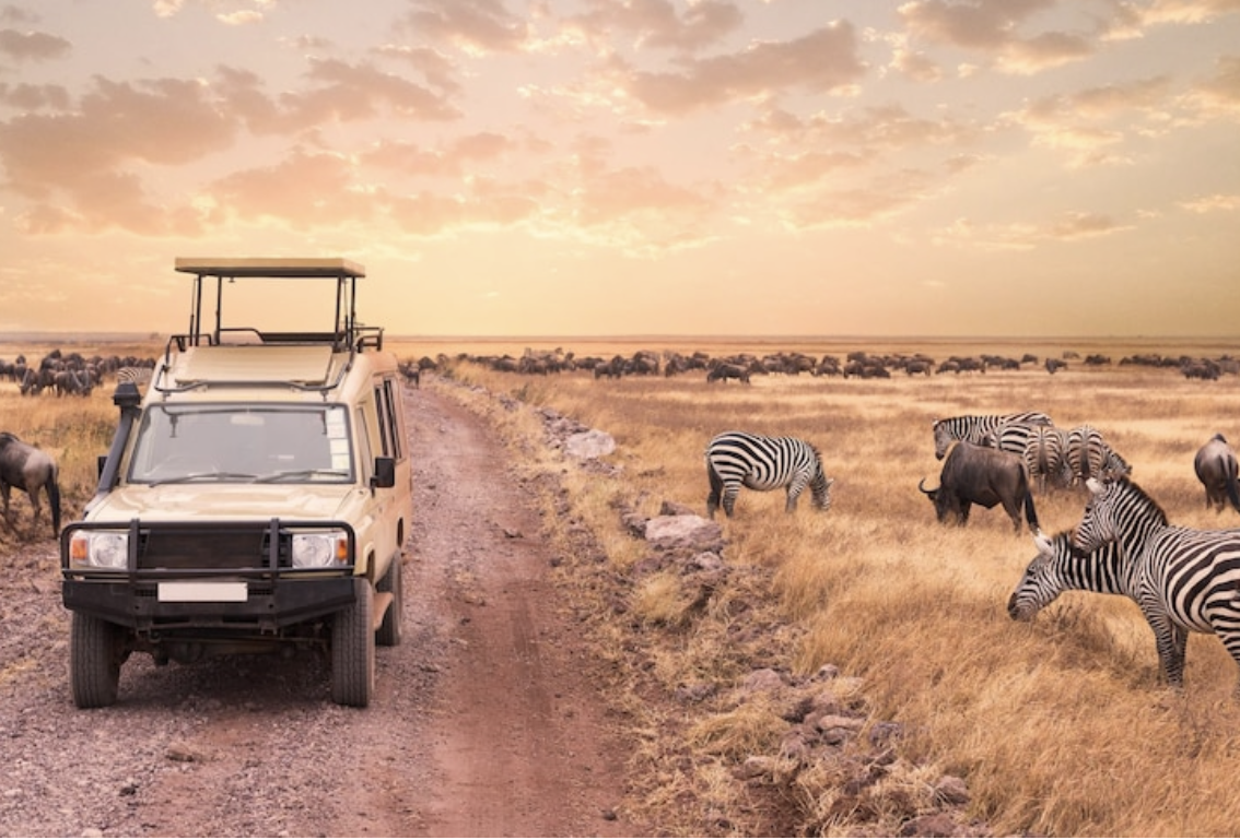 Why Uganda is the Hidden Gem of African Safaris
