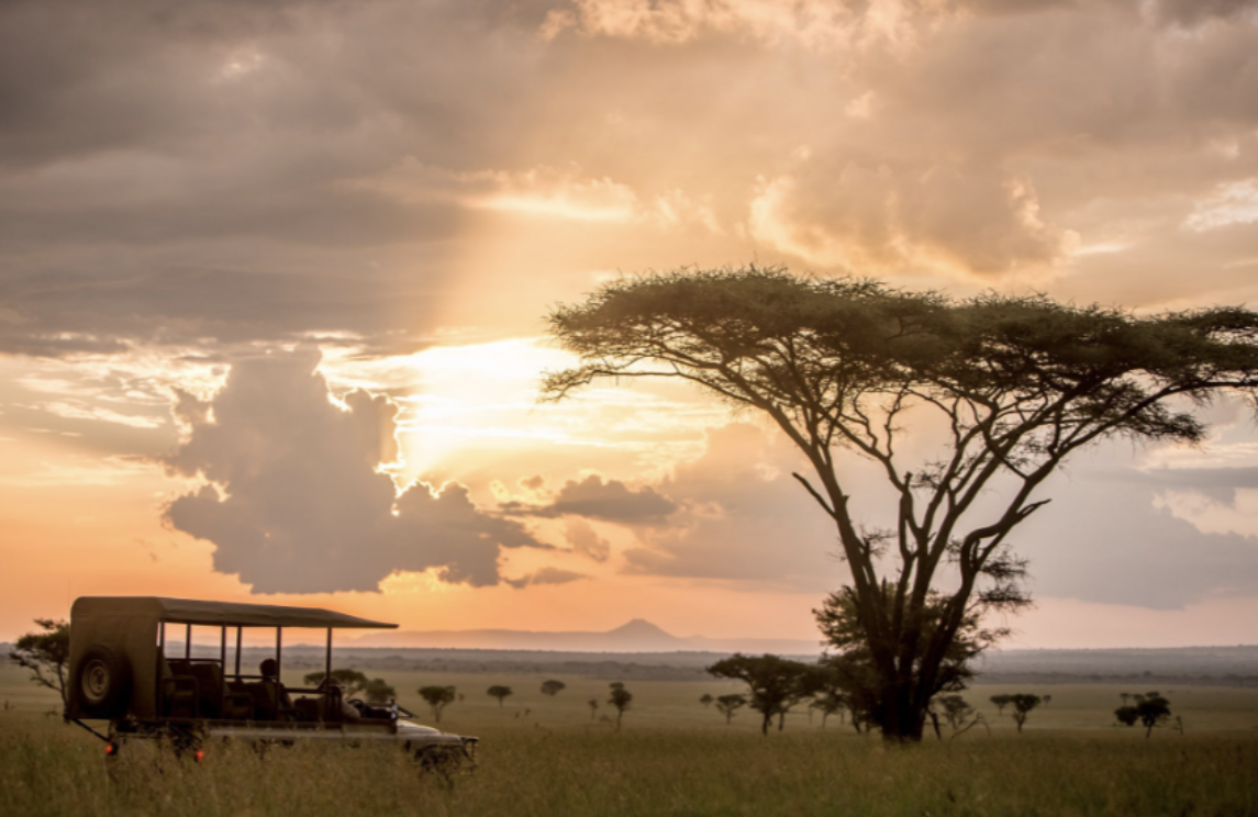 Africa in Comfort: A Grand Historical Journey