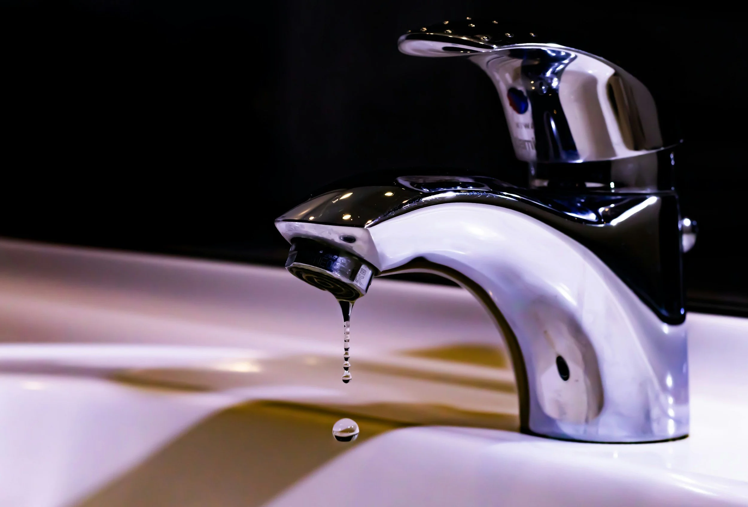 From Dripping Faucets to Thriving Gardens: Tackling Water Waste in Your Home