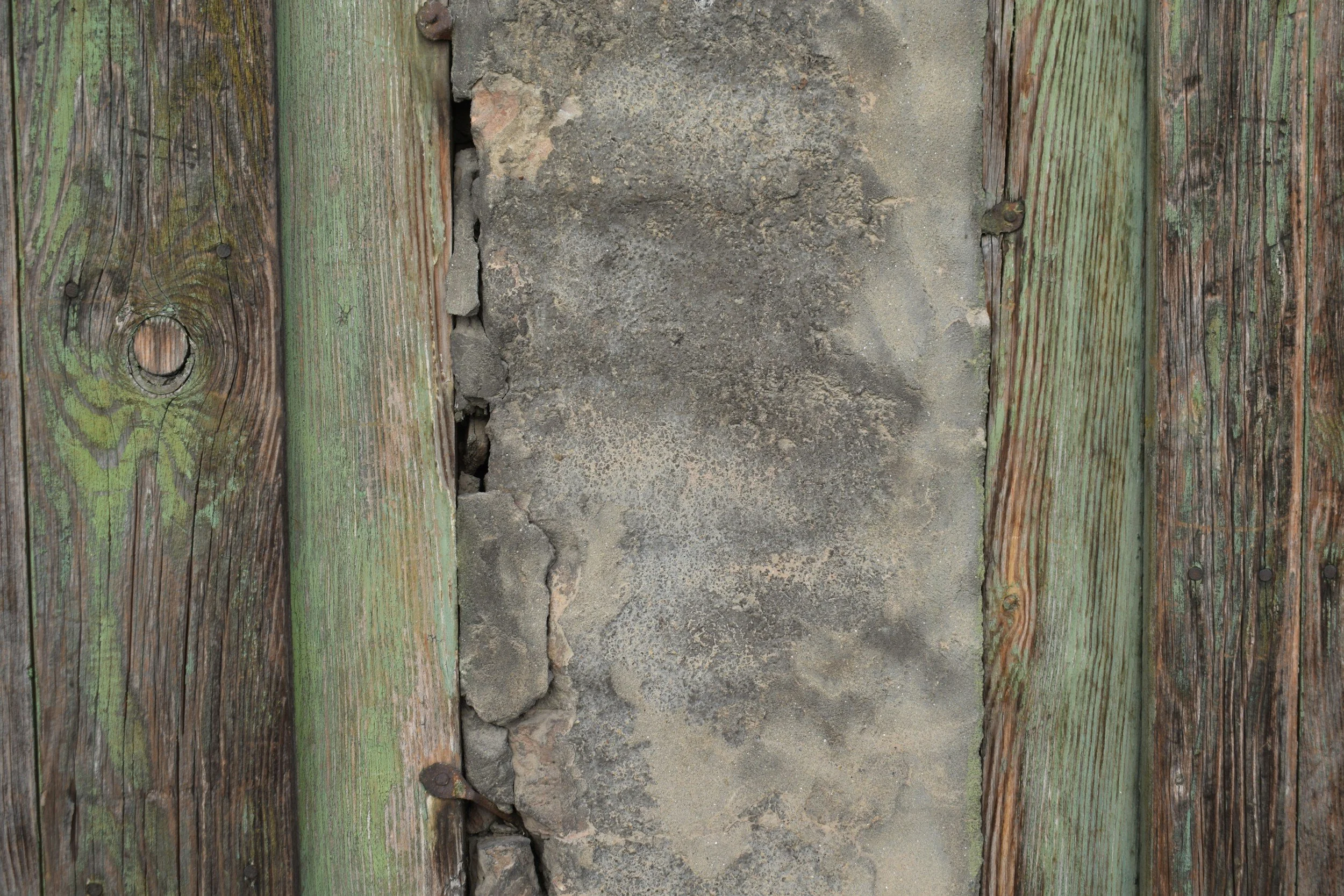 Protect Your Home from Termite Damage: Key Inspection Tips and Prevention Methods