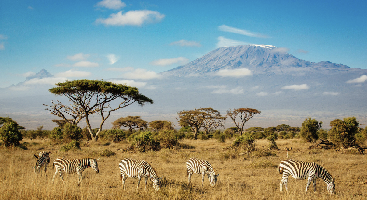 Explore Kenya’s Wild Heart: Masai Mara, Amboseli &amp; Samburu Safari Adventures