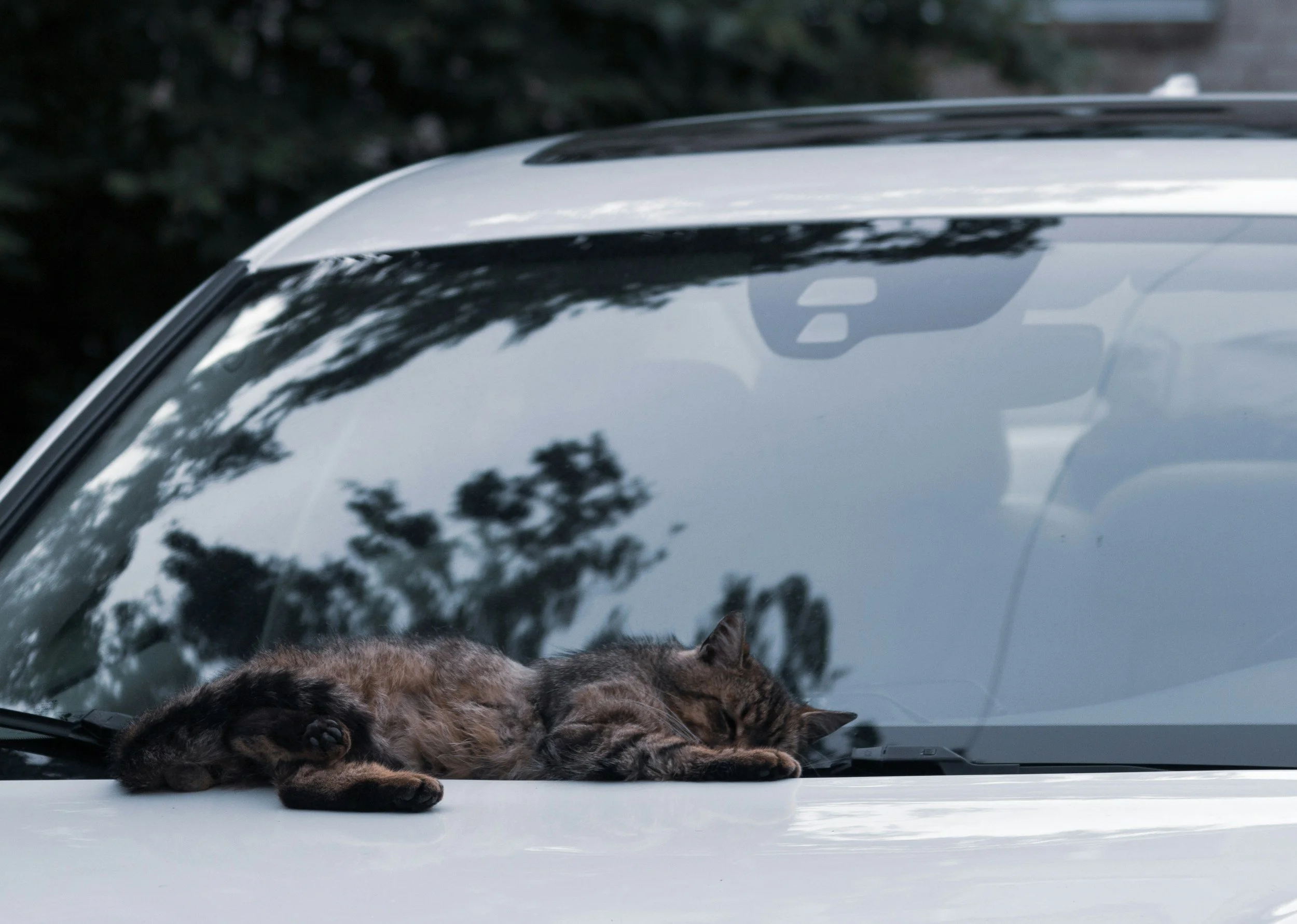The importance of car sunshades explained for all US motorists