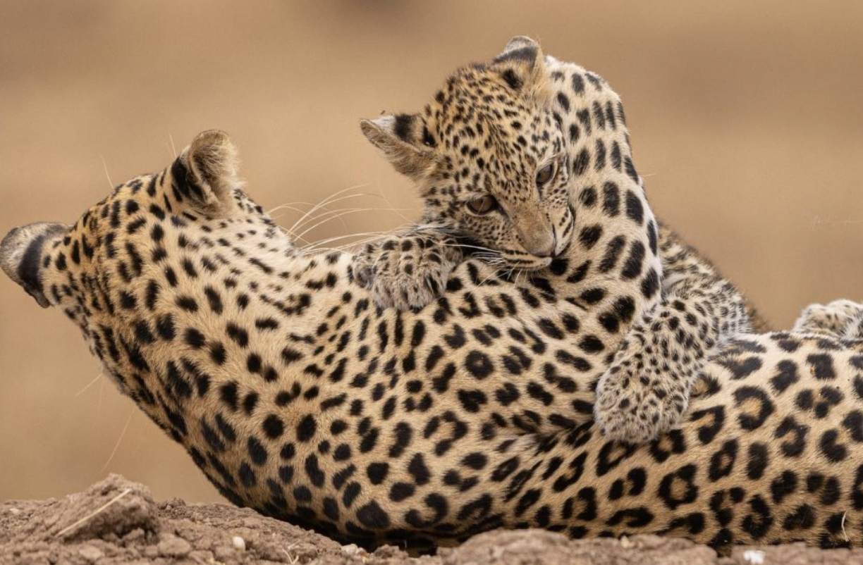 Tanzania Tours and Serengeti Safari Off the Beaten Path: