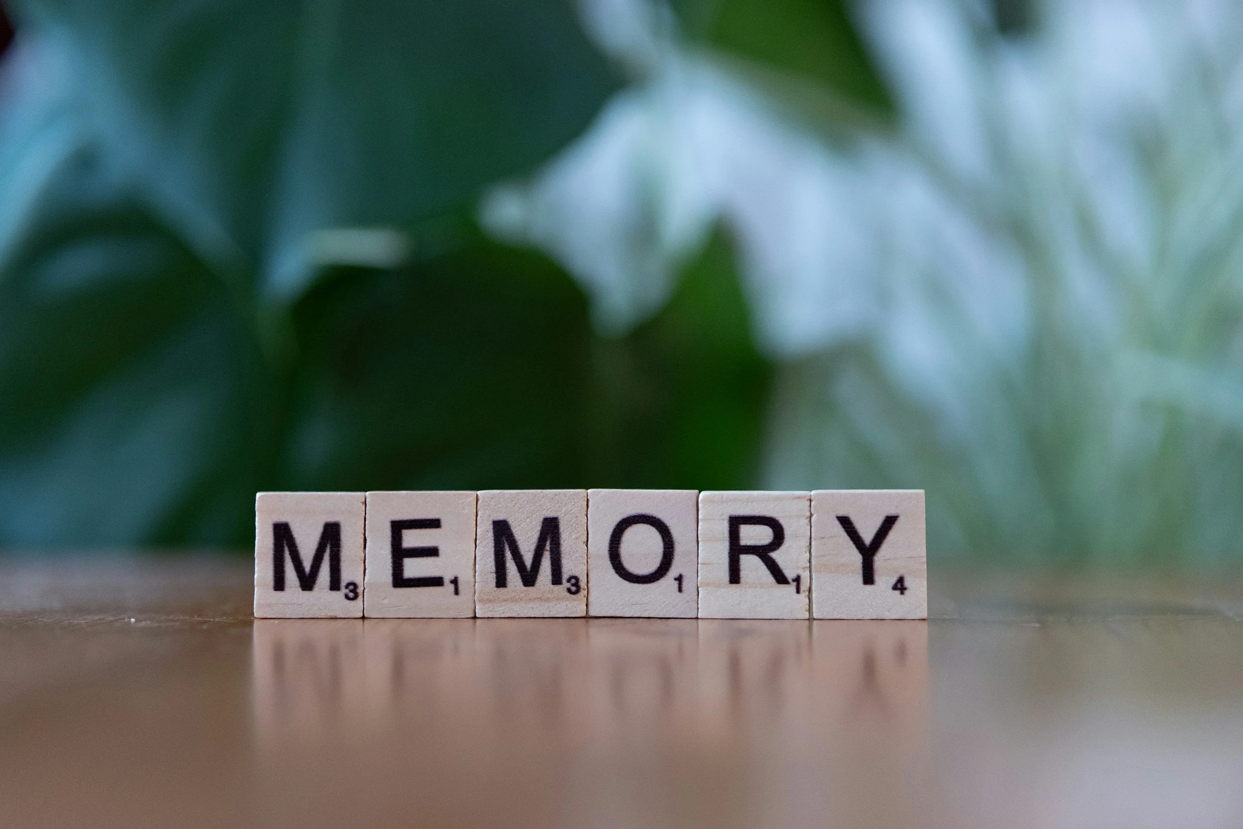 How to Provide Effective Alzheimer's Support for Seniors