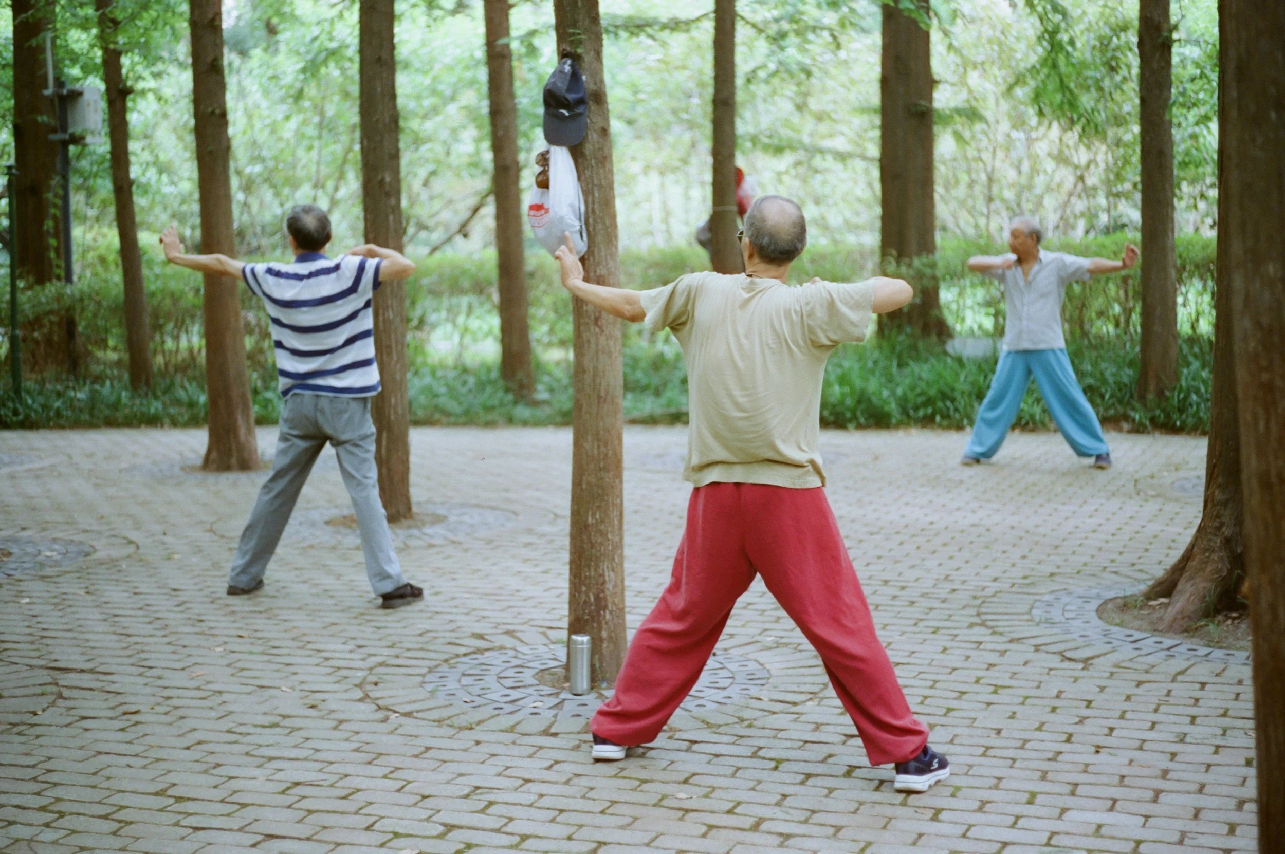Creative Fitness Ideas to Keep Seniors Energized