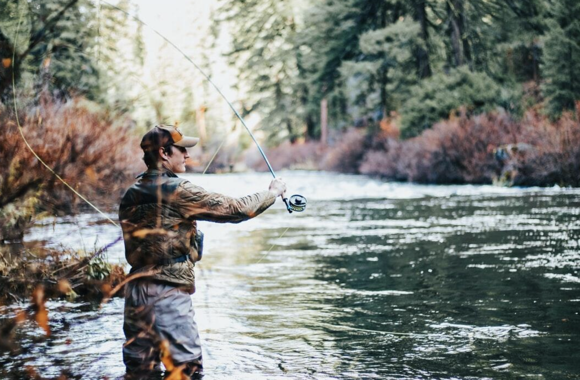 Wild Waters: Navigating the Untouched Coasts of Northern America