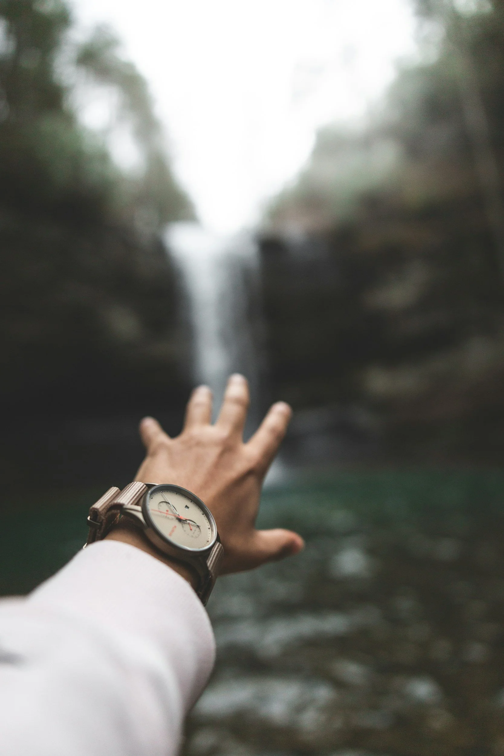 Time to Wander: The Ultimate Guide to Choosing Your Next Adventure Companion